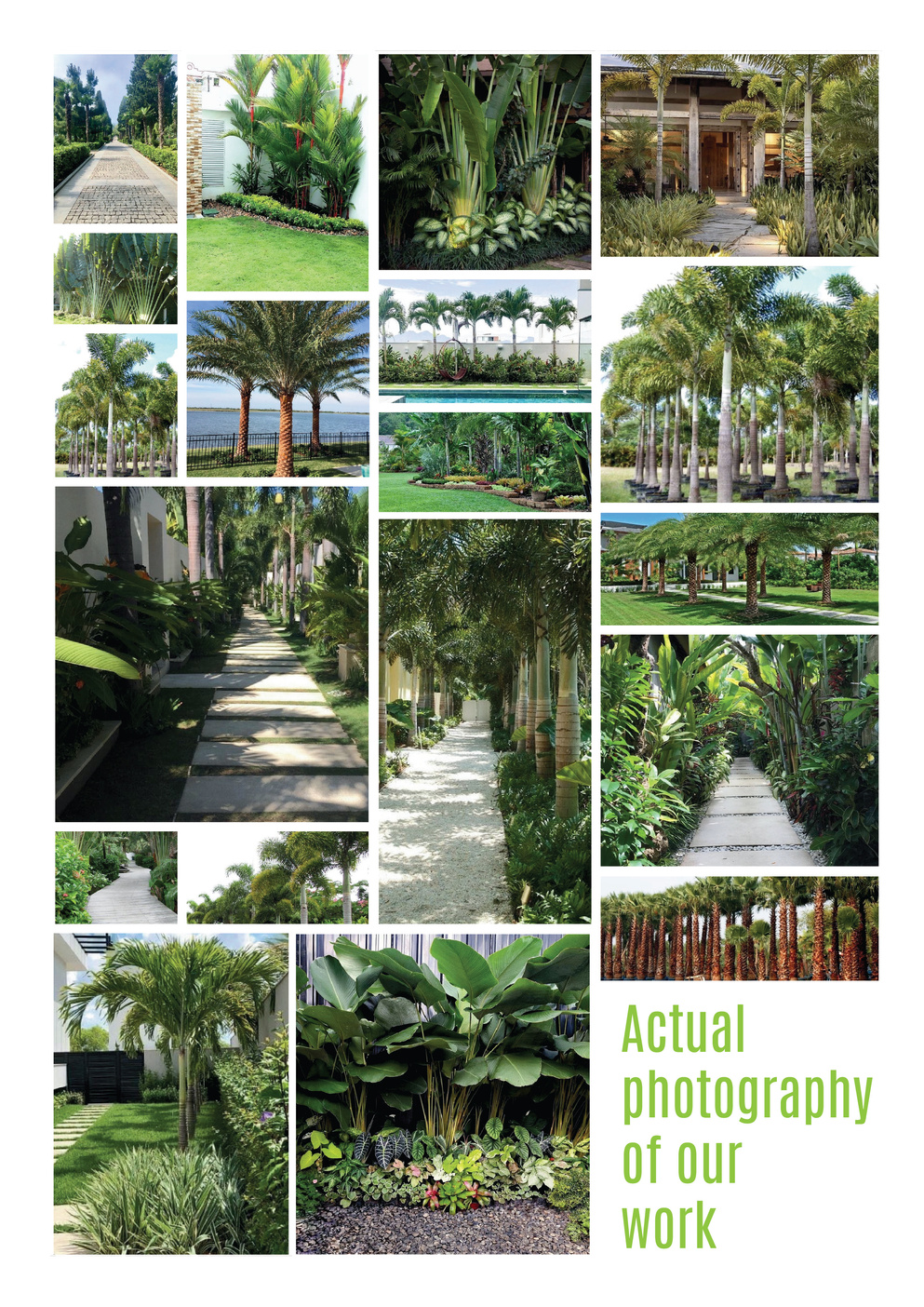 Actual Photography Work Overview Collage