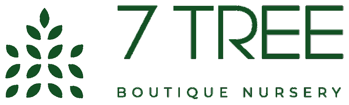 7 Tree Boutique Nursery Logo