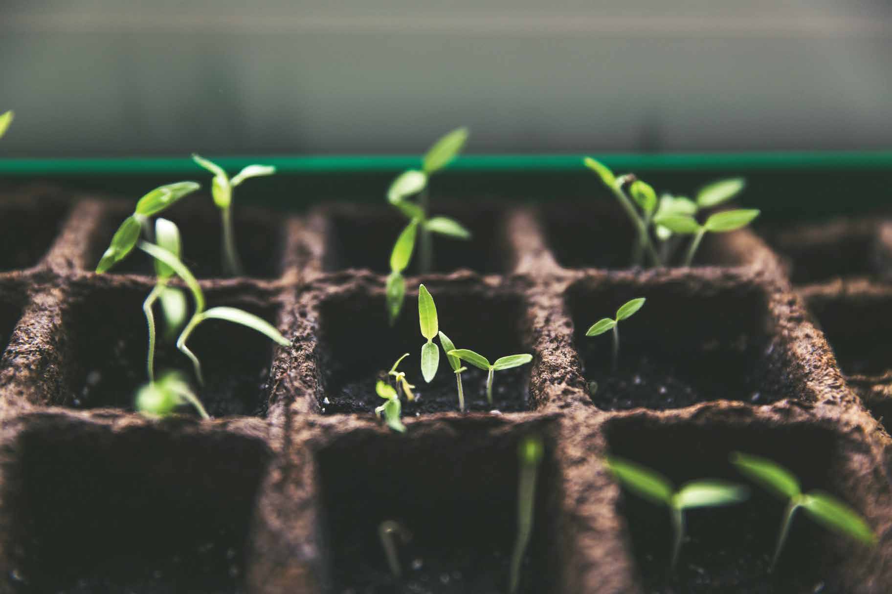 Drip Irrigation Systems