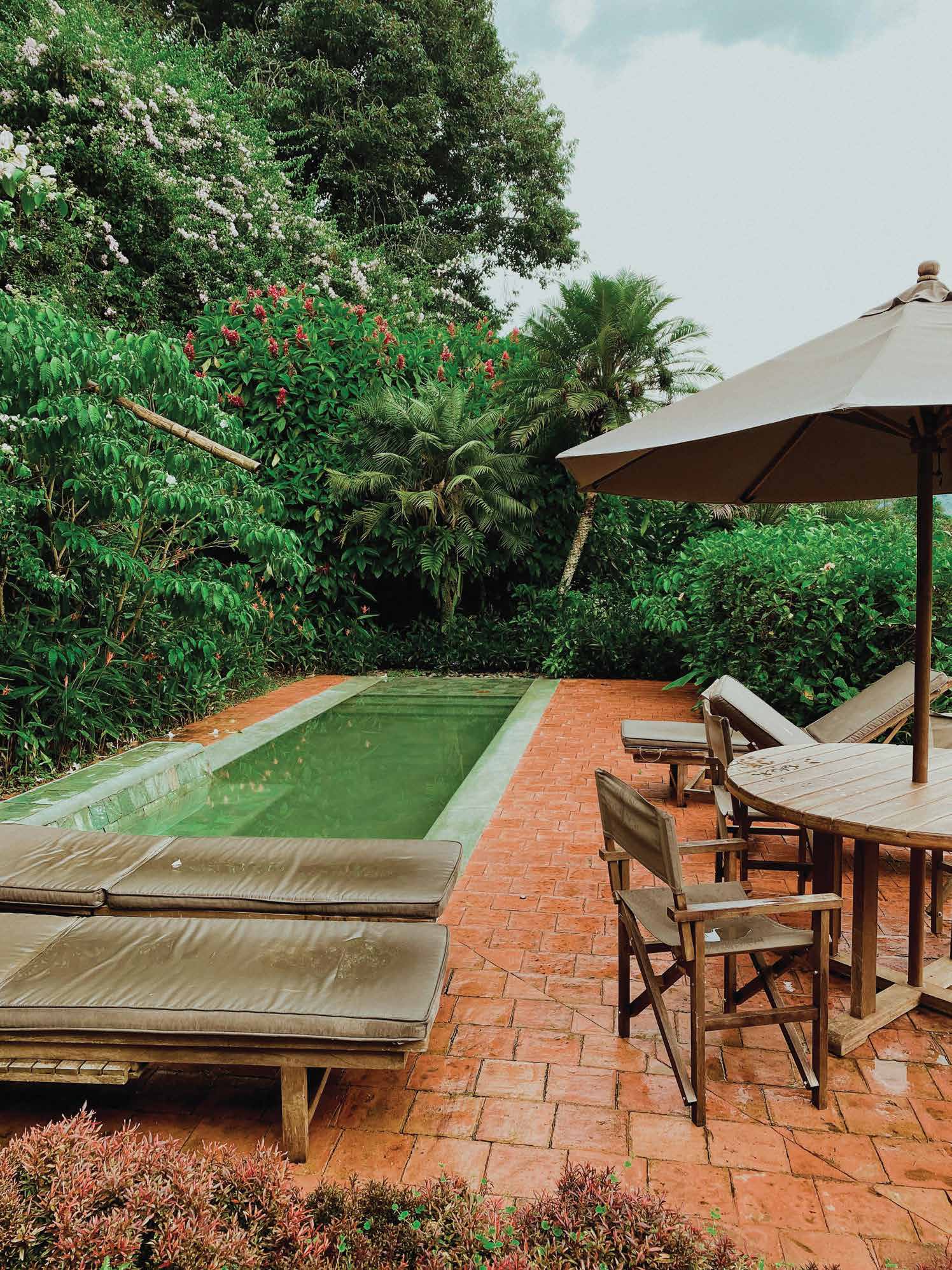 Elevate Your Outdoor Experience with Natural Landscaping